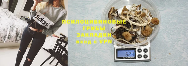 хмурый Слюдянка