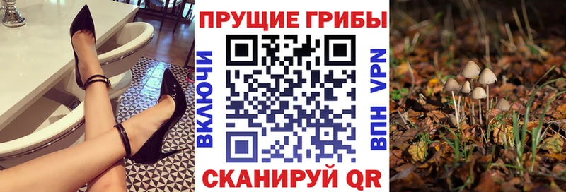 Псилоцибиновые грибы MAGIC MUSHROOMS  где продают наркотики  Вилюйск 